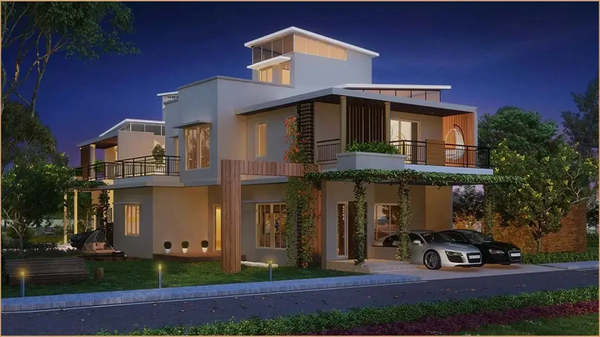 Purva-Smiling-Willows-night-view