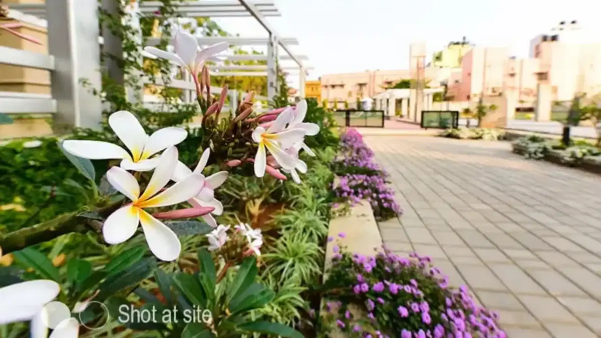 HM-Tropical-Tree-Apartments-In-RT-Nagar-Bangalore-Inside-Area